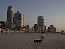 ena vení psa na liduprázdné plái v izraelském Tel Avivu (25. íjna 2023)