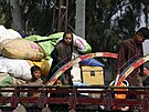 Afghánské dti na korb nákladního auta ekají na registraci v dobrovolném...