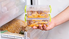 ilustra�ní snímek