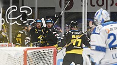 Hokejisté Litvínova se radují z gólu proti Komet.