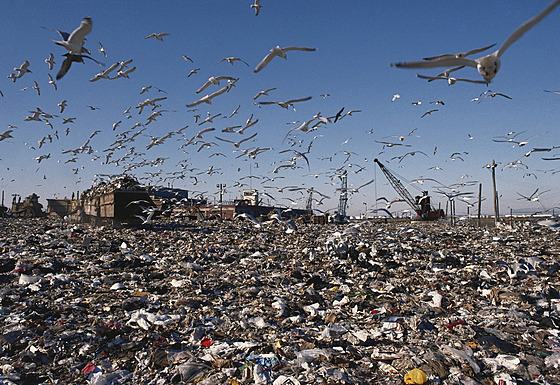 Do roku 2001 na skládce Fresh Kills p�istálo celkem kolem 150 milion� tun...