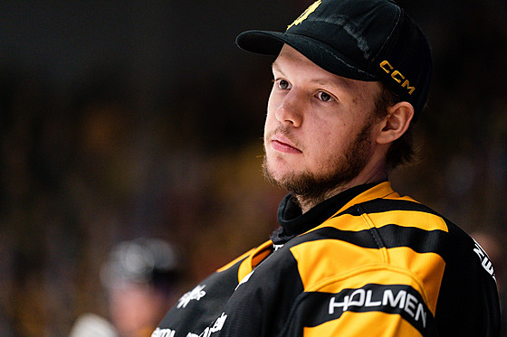 Gólman Linus Söderström (Skellefte&#229;) vnímá své psychické obtíe jako...