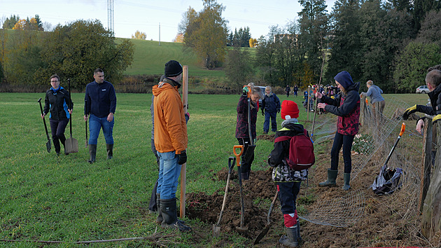 V krajině kolem Žďáru nad Sázavou přibyly ovocné stromy, olemují novou cestu
