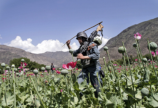 Tajné noční lety, speciální semena. CIA roky sabotovala afghánskou úrodu opia