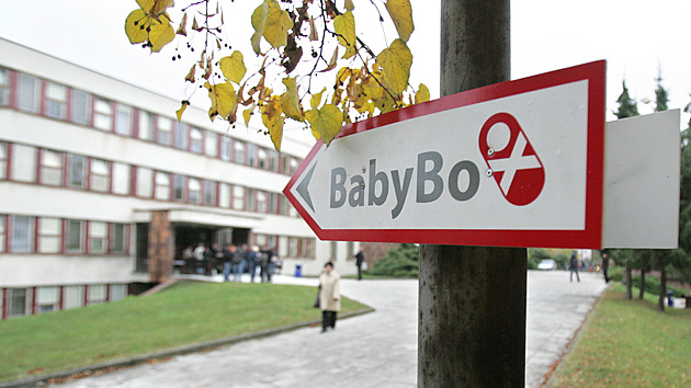 OSN je proti babyboxům, radí utajené porody. Jsou ale jen pro svobodné Češky