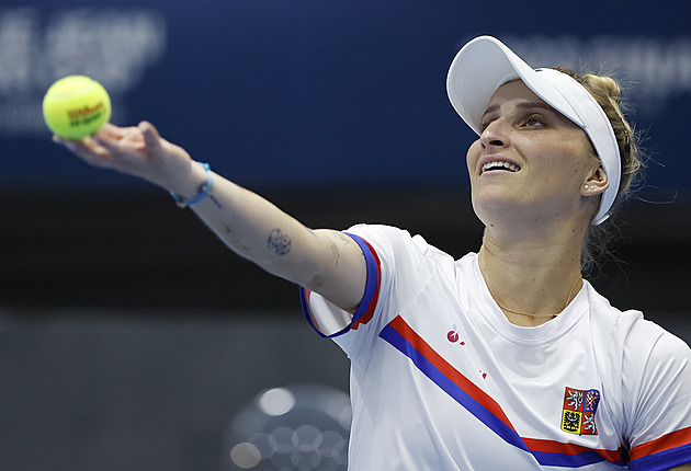 Vondroušová hlásí: Překvapivě se cítím dobře. Proti Švýcarkám tuší záhul a boj