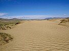 Písená duna na zaátku první vegetaní sezóny po postavení plotu  pohled...