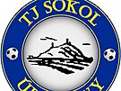 Logo TJ Sokol Úpohlavy.