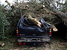 Auto, na které spadl strom strený bouí Ciarán ve francouzském...