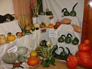 Podzimn� zahr�dk��sk� v�stava Radost - kr�sa - u�itek v �astolovic�ch...
