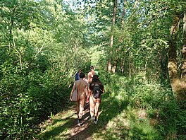 Specialitou Berlína jsou naturistické kluby. V rodinném sportovním klubu Adolfa...