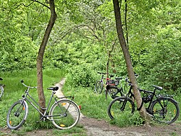 e Nmci nejsou ádní rebelové? Tak to se bte podívat na nudistické...