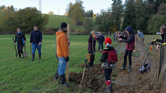 V�sadby p�ev�n� ovocn�ch strom�, ale i dal��ch listn��� a ke�� pod�l budouc� poln� cesty se z��astnilo kolem �ty� a� p�ti des�tek dobrovoln�k�.