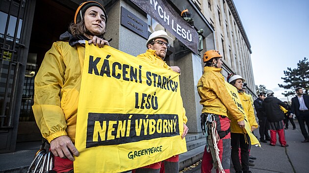 Aktivist z Greenpeace protestuj ped budovou ministerstva zemdlstv proti kcen starch les.
(8. listopadu 2023)