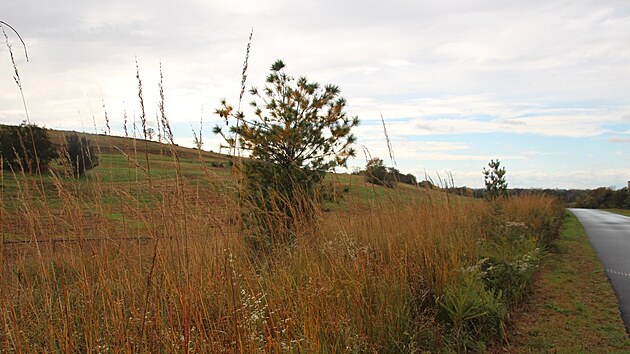 N�v�t�vn�ci nov�ho parku si zde mohou u��t louky, stromy, jezero, vyhl�dku pro pozorovatele ptactva, lavi�ky a zhruba kilometr stezek pro p�� a cyklisty. (21. ��jna 2023)