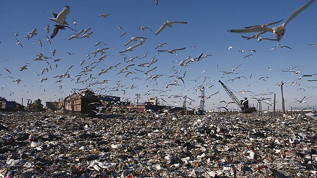 Do roku 2001 na skldce Fresh Kills pistlo celkem kolem 150 milion tun odpadu, pevn z domcnost v metropoli New Yorku. (19. kvtna 2015)