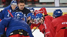 Trénink eské hokejové reprezentace ped turnajem Karjala.