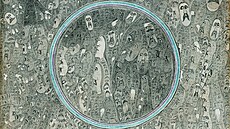 Edmund Monsiel: K uctívání Panny Marie �enstochovské v��ícími, 1960, tu�ka,...