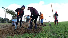 Výsadby p�evá�n� ovocných strom�, ale i dal�ích listná�� a ke�� podél budoucí...