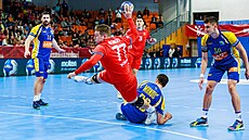 Momentka z p�ípravného zápasu �esko - Bosna a Hercegovina