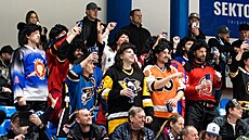 The Travelling Jagrs, kanad�tí p�íznivci Jaromíra Jágra, v hledi�ti b�hem...