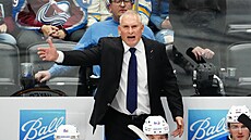 Trenér St. Louis Craig Berube na�tvan� gestikuluje sm�rem k rozhod�ím.