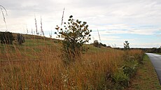 Náv�t�vníci nového parku si zde mohou u�ít louky, stromy, jezero, vyhlídku pro...