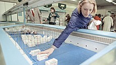 Mladá obyvatelka Moskvy sahá v obchod po posledních baleních másla. Nedostatek...