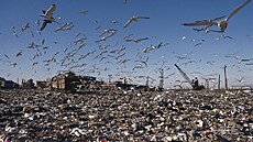 Do roku 2001 na skládce Fresh Kills p�istálo celkem kolem 150 milion� tun...