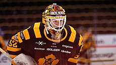 Jednou z nejvtích pedností Linuse Söderströma (Skellefte&#229;) je schopnost...