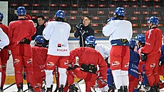 Sraz eské hokejové reprezentace ped turnajem Karjala.