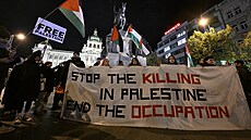 V Praze se seli lidé na dalí demonstraci na podporu práv Palestinc. (8....