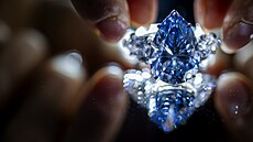 Na fotografii je "Bleu Royal", vzácný 17,61karátový vnitn bezchybný diamant...