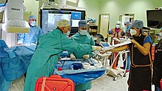V Kardiocentru Nemocnice Na Homolce jako první v eské republice implantovali...
