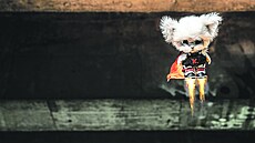 Hlavní hrdina cinemagrafové pohádky pro d�ti se jmenuje KiDO.