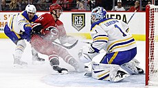 Luká� Rousek (vlevo z Buffala brání Andreje Sve�nikova z Caroliny p�ed...