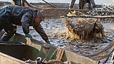 ilustra�ní snímek