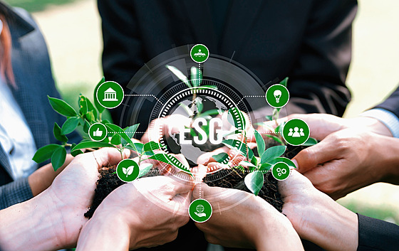 ilustra�ní snímek