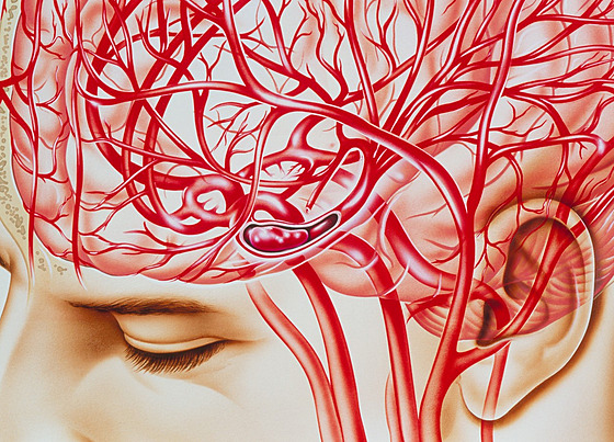 Ilustra�ní fotografie