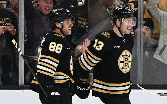 David Pastrák (88) a Charlie Coyle (13) oslavují trefu Boston Bruins.