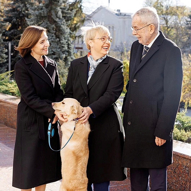 Rakouský prezident si v Moldavsku chtěl pohladit psa, ten ho pokousal