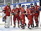 etí hokejisté oslavují vítzství v utkání proti Finsku, ím ovládli turnaj...
