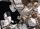 Astronautka NASA a letová inenýrka Expedice 70 Loral O'Harová je na snímku...