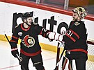 Hokejisté týmu Ottawa Senators se radují z výjry nad soupei z Minnesoty Wild v...