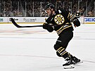 David Pastrák z Boston Bruins pi stele