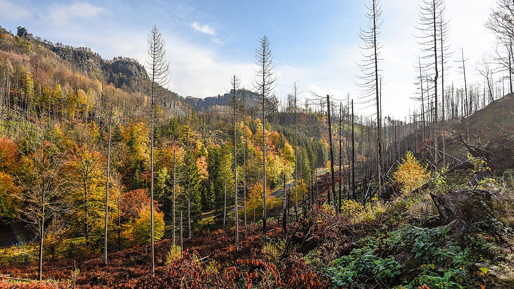 Pohled z Mlýnské cesty. I kdy� na první dojem m��e krajina vypadat jako totáln�...