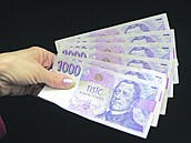 Češi mají doma nejčastěji hotovost do pěti tisíc korun.
