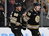 David Pastrňák (88) a Charlie Coyle (13) oslavují trefu Boston Bruins.