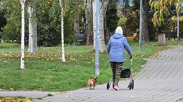 Psí výběh na Staré osadě v Brně osiřel, obyvatelům z okolních domů se nelíbil hluk od psů i jejich majitelů. Ti tak musí svoje mazlíčky vodit jinam.