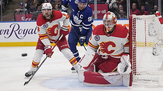 Brank Dan Vlada z Calgary bhem utkn s Torontem.